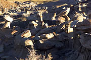 Bisti Badlands New Mexico